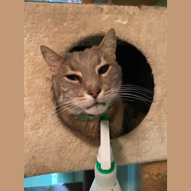 Photo of Patitchi (Chi Chi) 