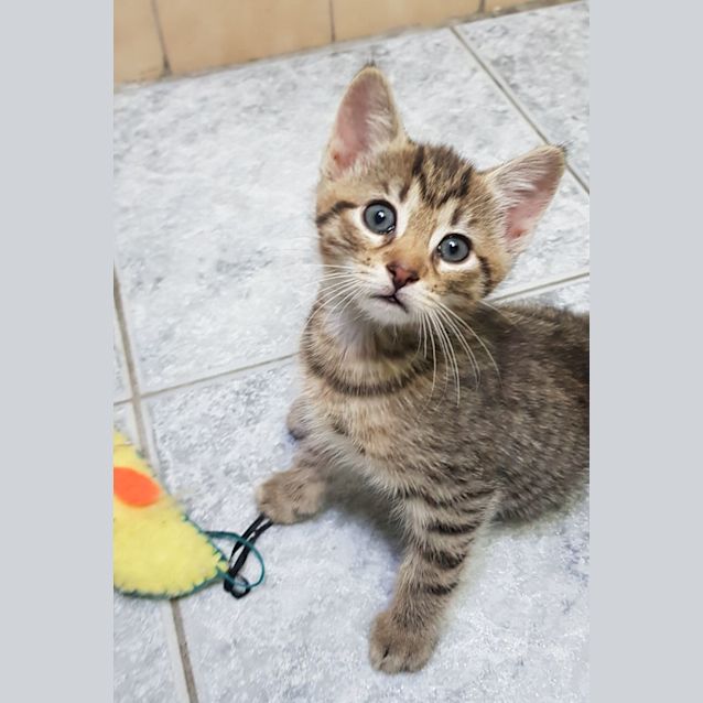 Photo of Minty & Mango