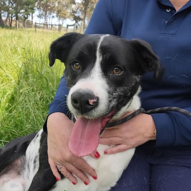 Photo of Wilbur ♥ C03645