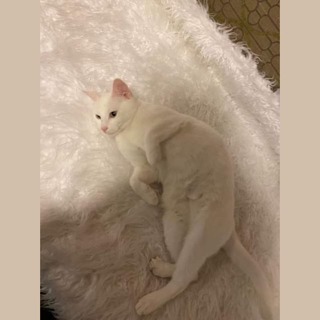 Photo of Luna And Ayah 