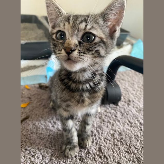 Photo of Kaia