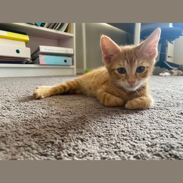 Photo of Makana