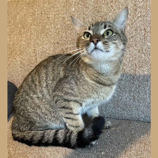 Photo of Noelle
