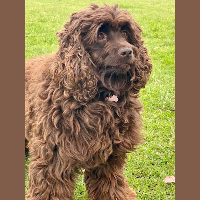 Photo of Annie 