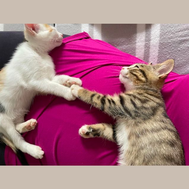Photo of Kimba And Titch