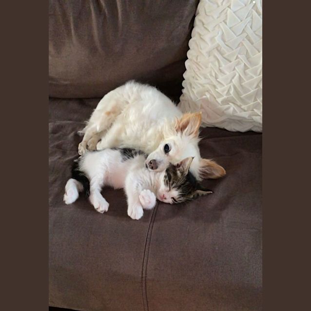 Photo of Agnes (Aggie)