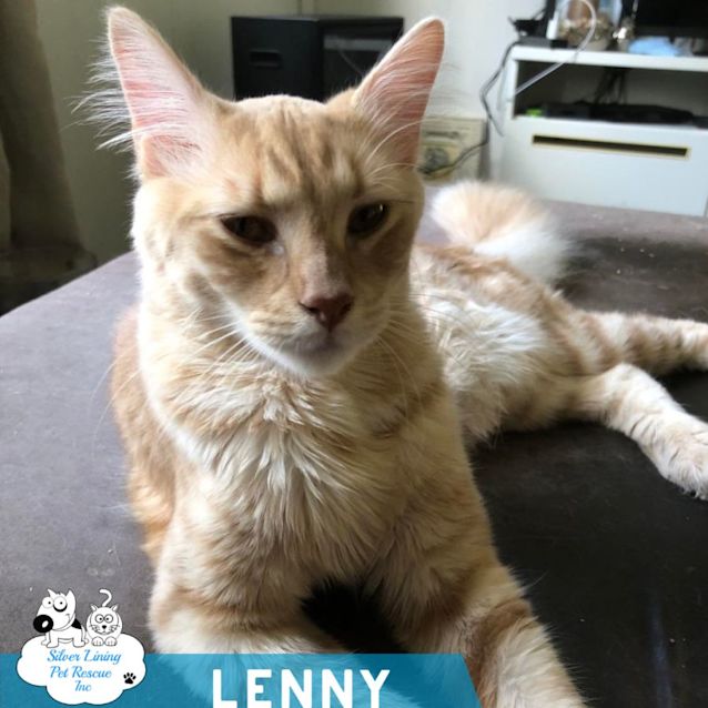Photo of Lenny