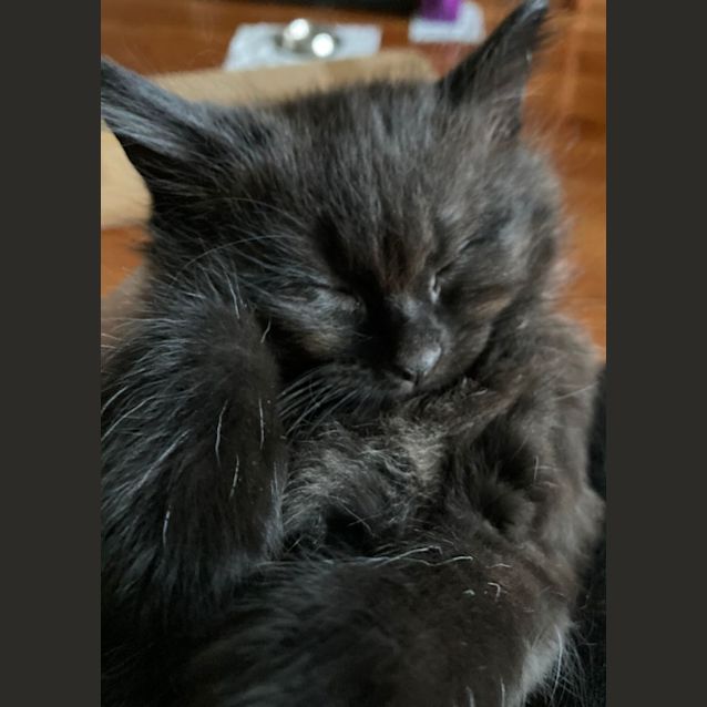 Photo of Tom
