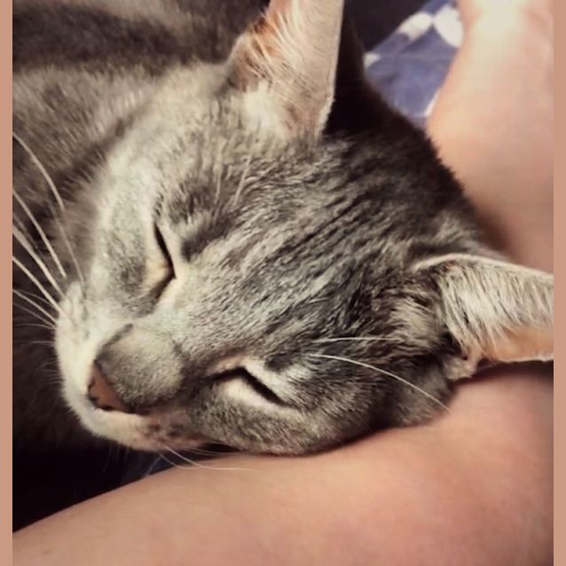 Photo of 🌼🌺Meadow🌺🌼