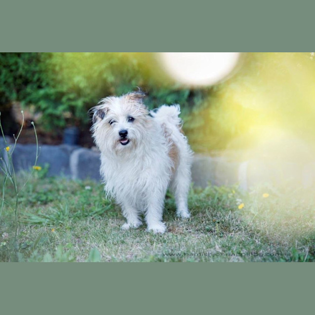 Photo of  Hamilton Cumberbatch