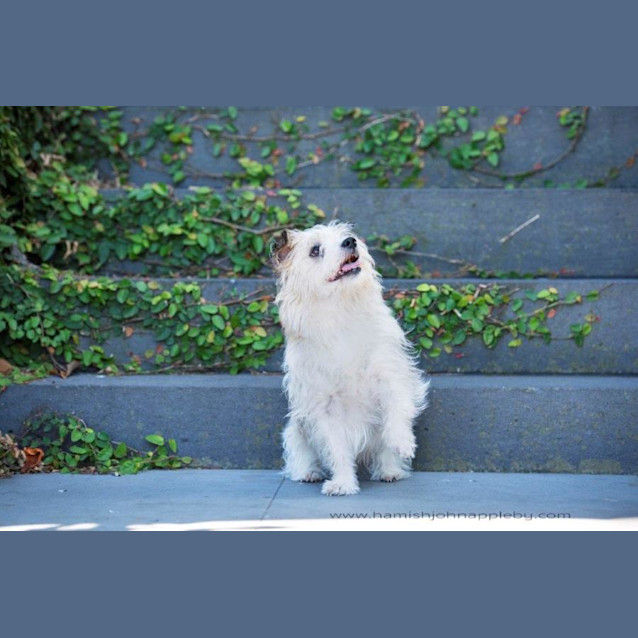 Photo of  Hamilton Cumberbatch