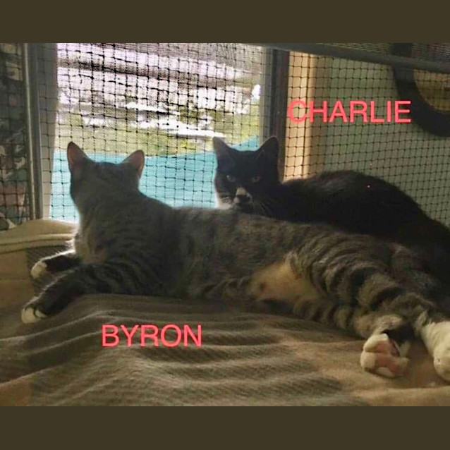 Photo of Byron And Charlie