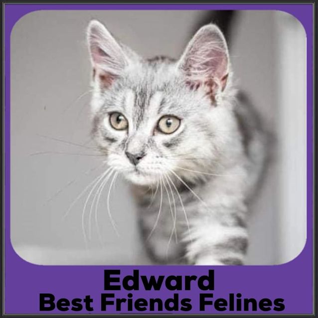 Photo of Edward 