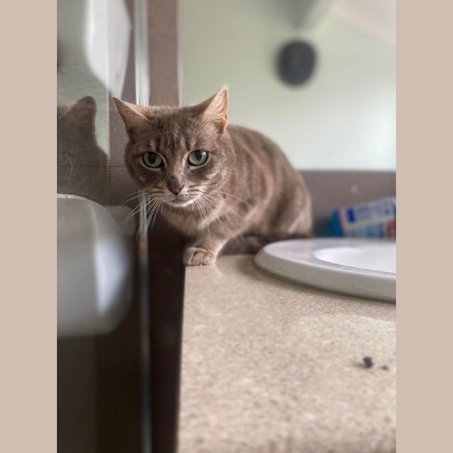 Photo of Noelle
