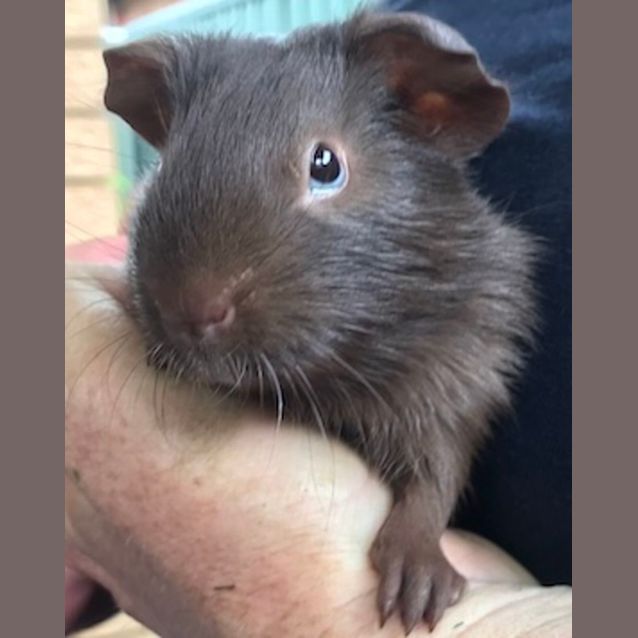 Photo of Calvin And Geoffrey