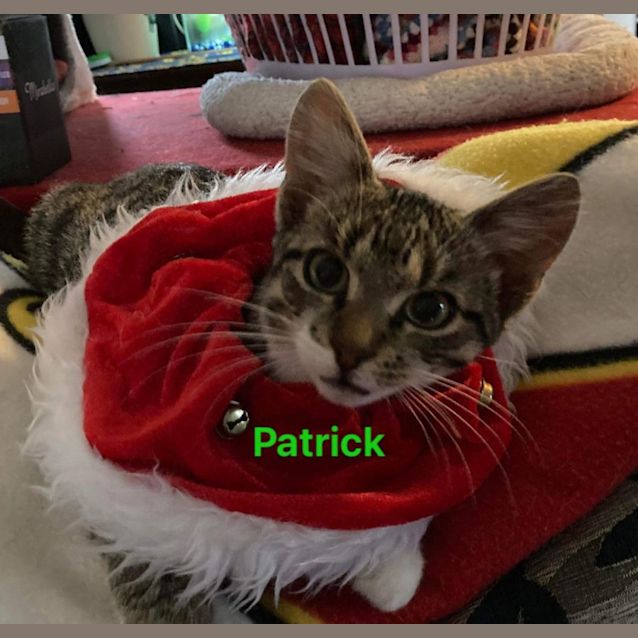 Photo of Patrick