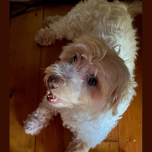 Photo of Miss Madeline