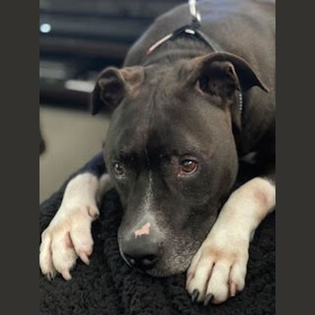 Photo of Jax