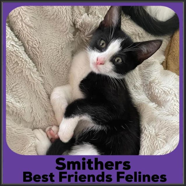 Photo of Smithers