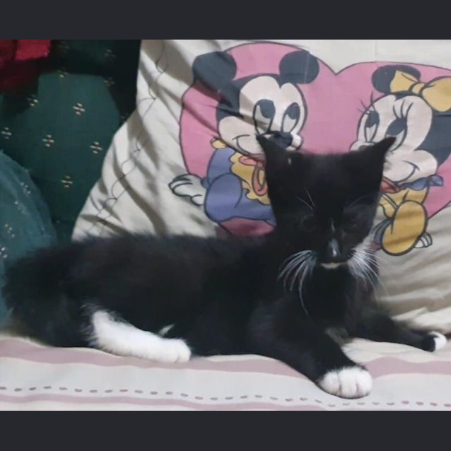 Photo of Dean
