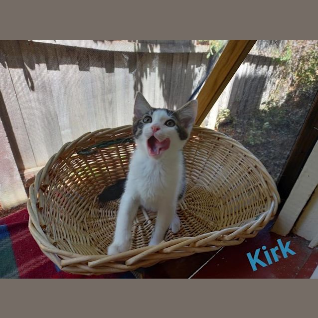Photo of Kirk