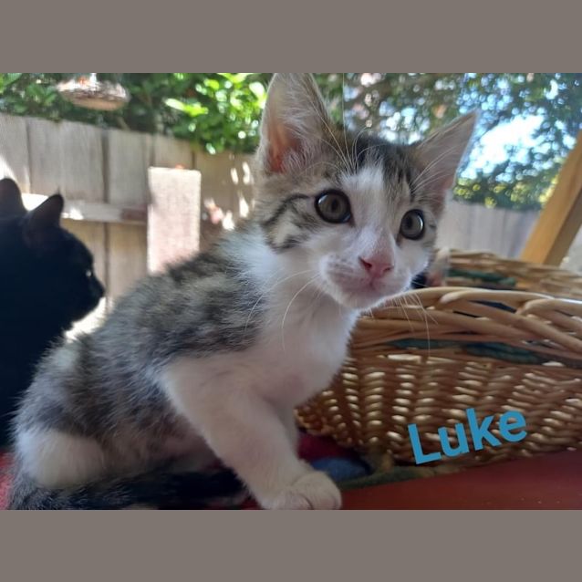 Photo of Luke