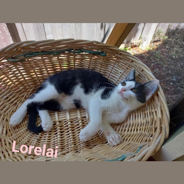 Photo of Lorelai