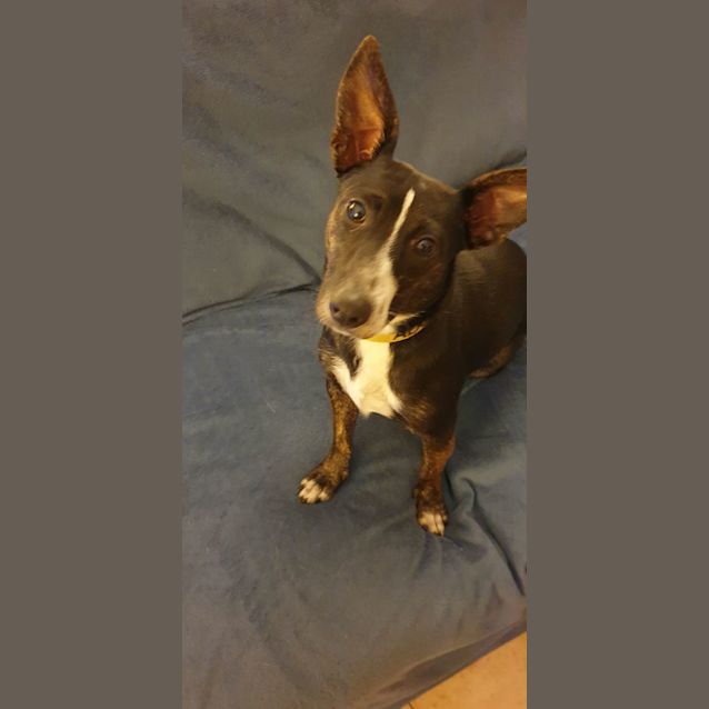 Photo of Holly