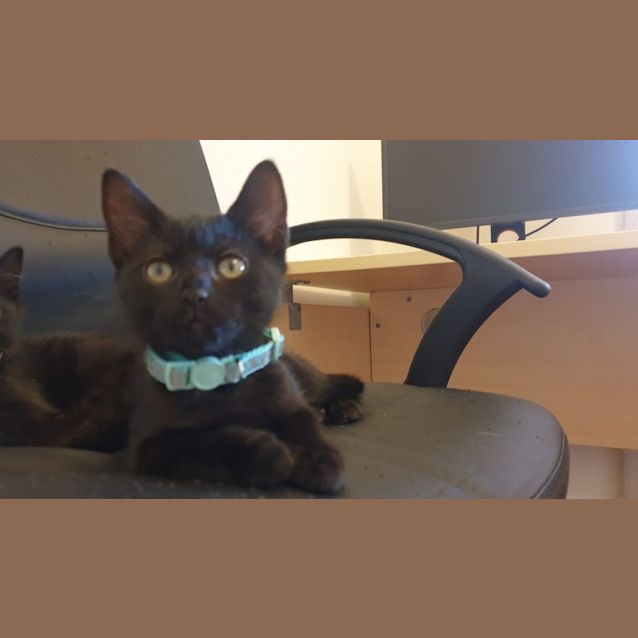Photo of Betty