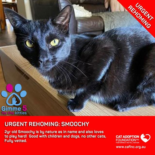 Photo of Smoochy