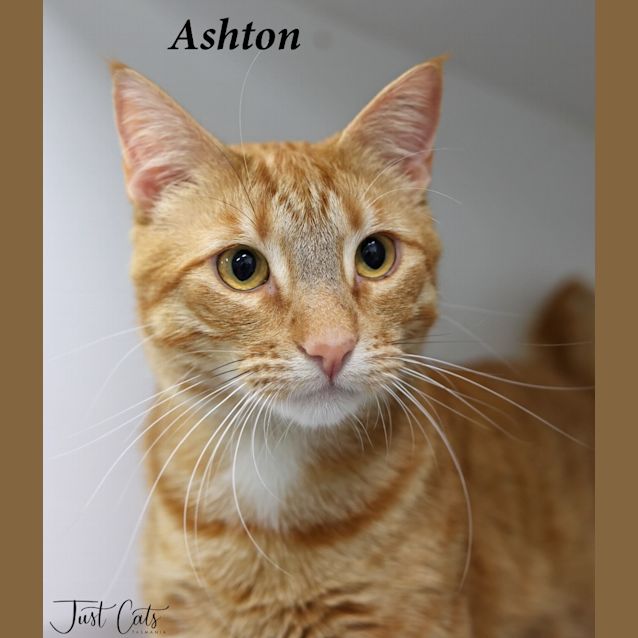 Photo of Ashton