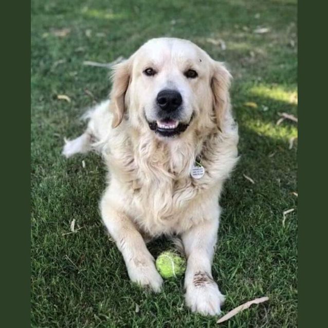 Photo of Marley 