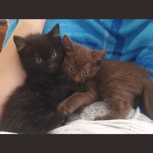 Photo of Eiva (And Elfie)