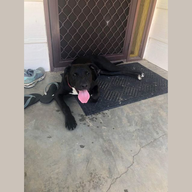 Photo of Tyson