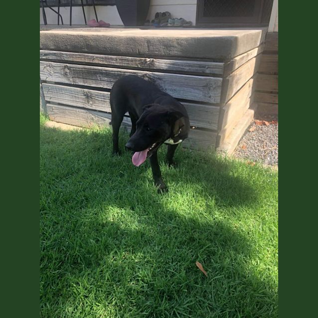 Photo of Tyson