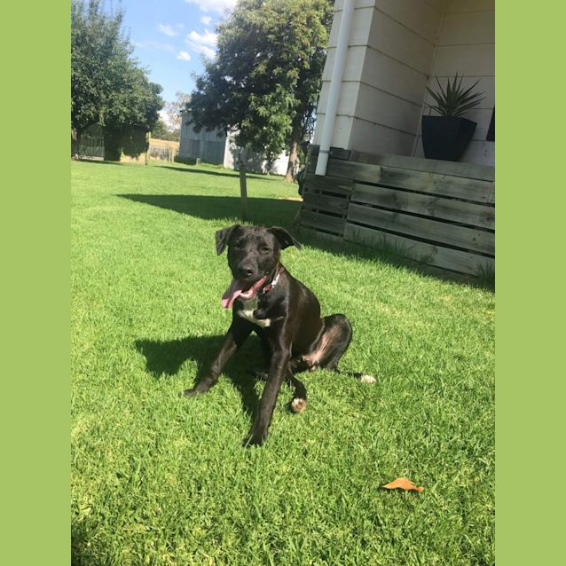 Photo of Tyson