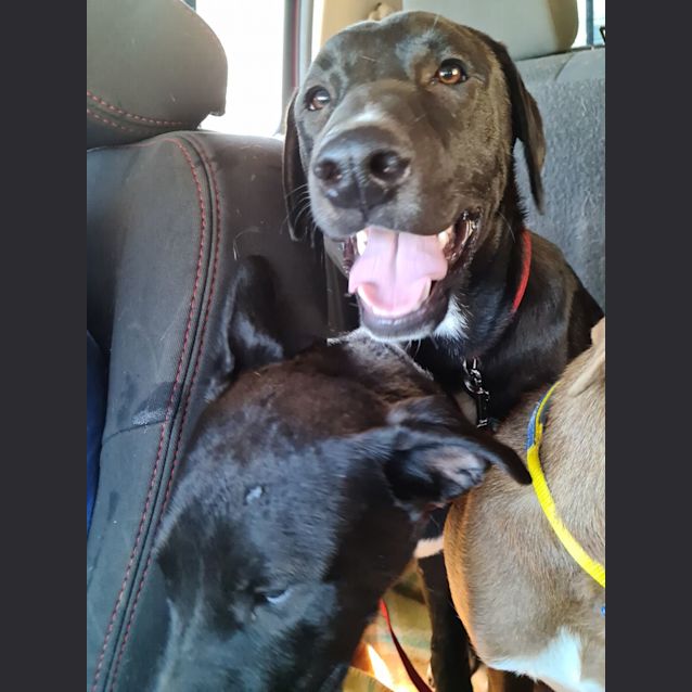 Photo of Tyson