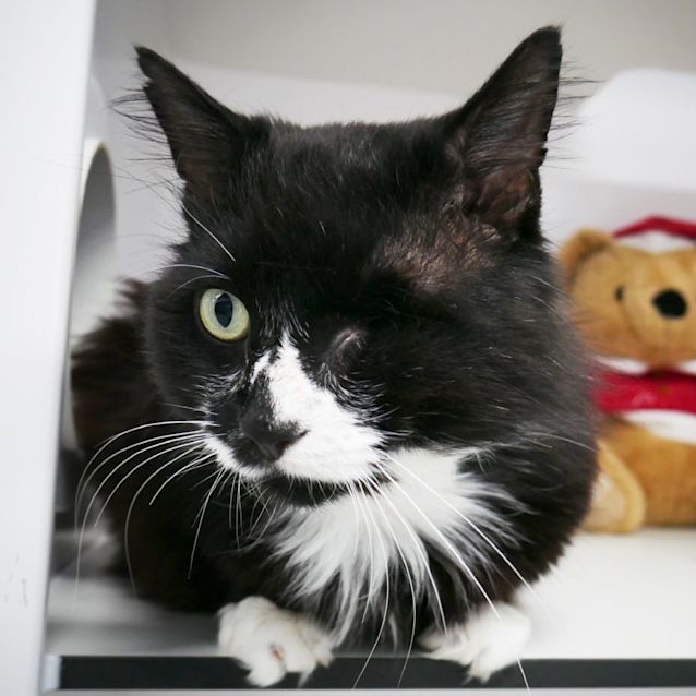 Photo of Alfie Rsta005673