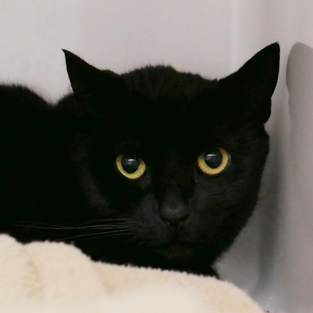 Photo of Andrea Rsua005586 