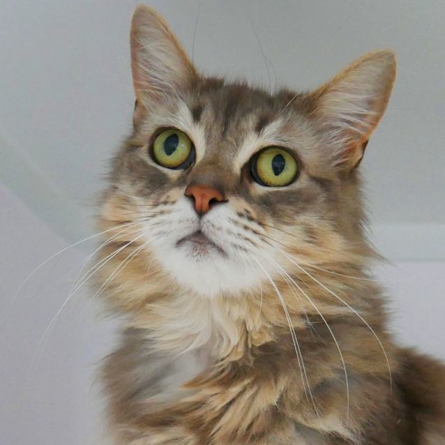 Photo of Blue & Bill Sua009381 And Sua009382