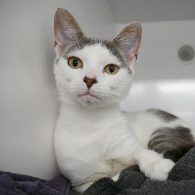 Photo of Jenny Sua009461