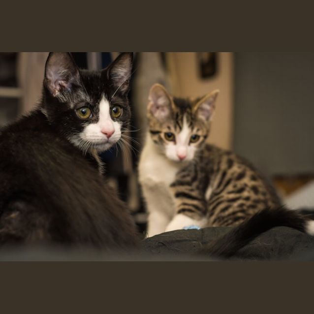 Photo of Buffy And Xander