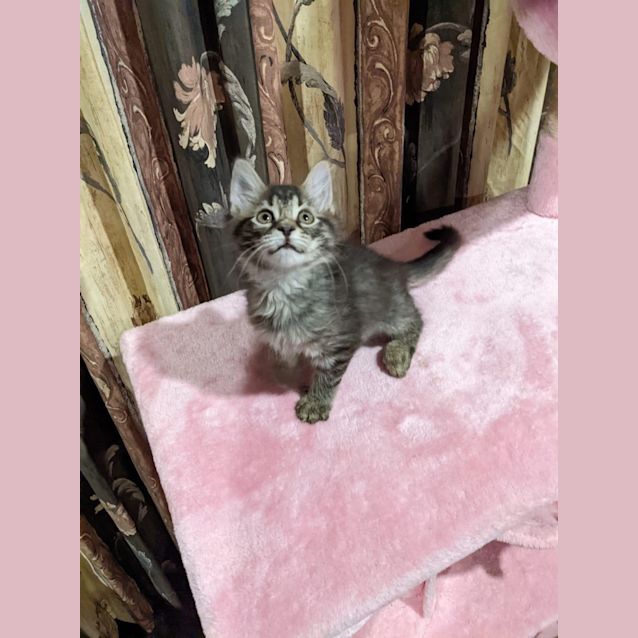Photo of Jasmine