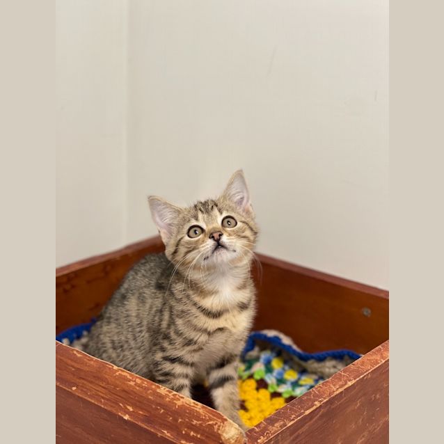 Photo of Promise