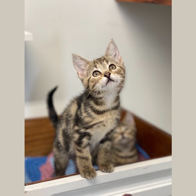 Photo of Cupid