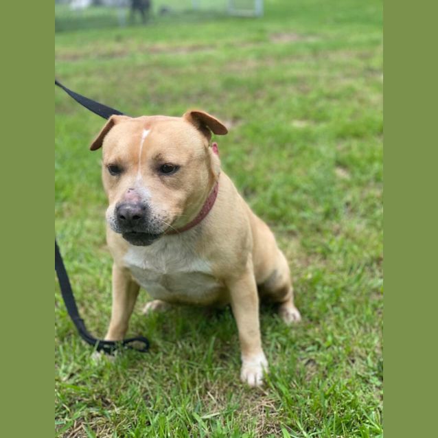 Photo of #2108 Sunday