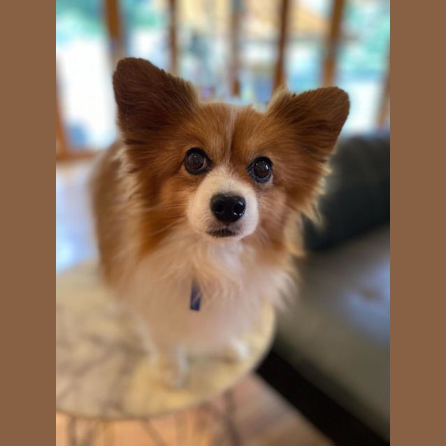 Photo of Mr. Sniffles