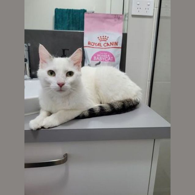 Photo of Luna