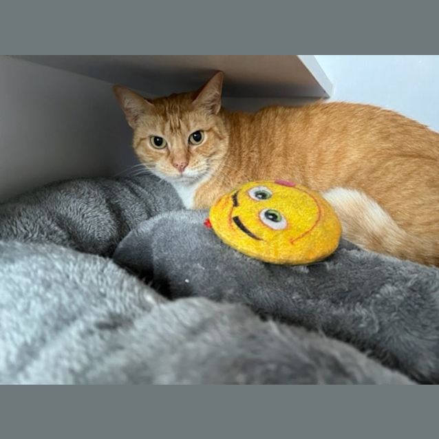 Photo of Winnie