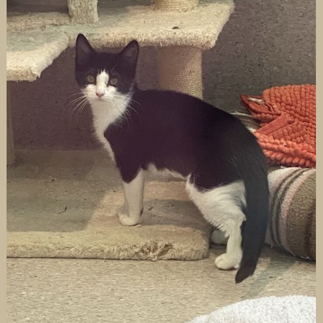 Photo of Innocent